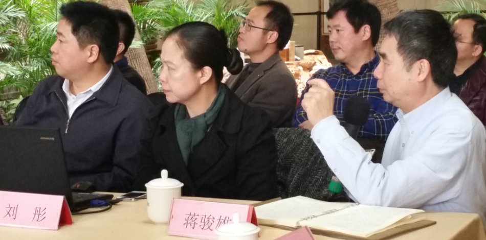 蒋骏雄发言.jpg
